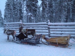 IMG_0351