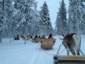 IMG_0356