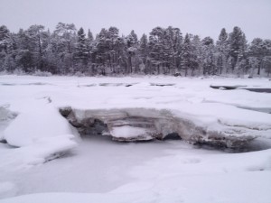 IMG_1126