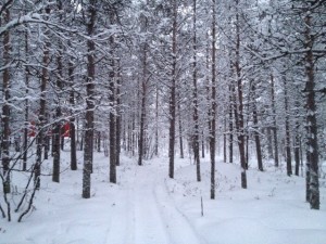 IMG_1134
