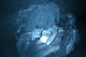 IMG_4395