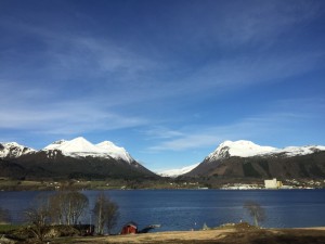 IMG_1607