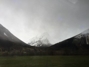 IMG_3126