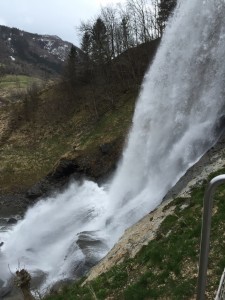 IMG_6170