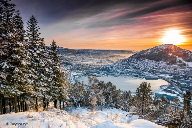winter-fjord