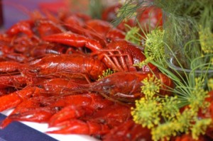 ????????????????????????????????