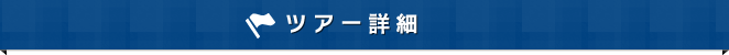 ツアー詳細