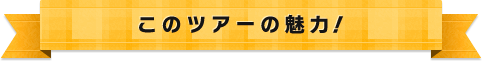 このツアーの魅力!