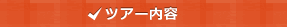 ツアー内容